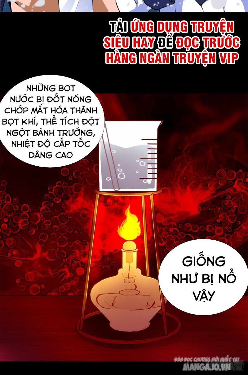 Mạt Thế Vi Vương Chapter 207 - Trang 2