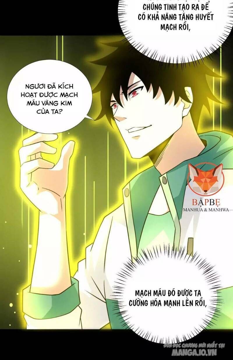 Mạt Thế Vi Vương Chapter 193 - Trang 2