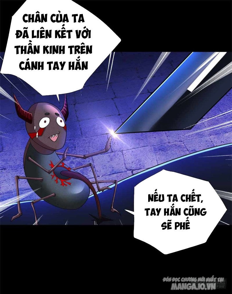 Mạt Thế Vi Vương Chapter 185 - Trang 2