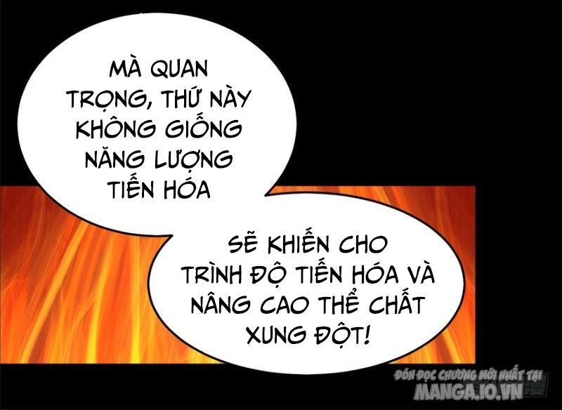 Mạt Thế Vi Vương Chapter 162 - Trang 2