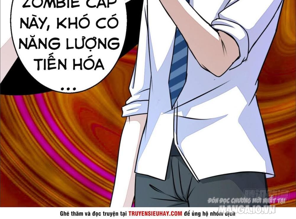 Mạt Thế Vi Vương Chapter 10 - Trang 2