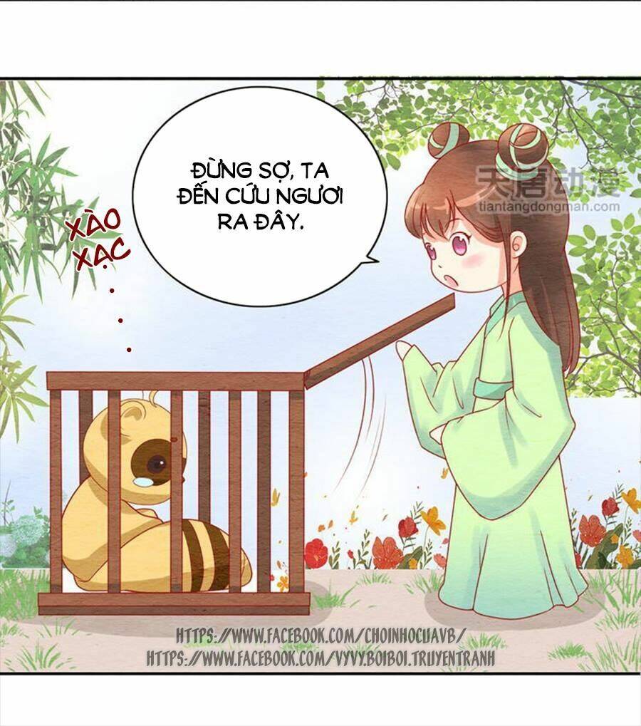 Nhân Hoa Duyên Chi Sư Phụ Đại Nhân Cầu Sủng Ái Chapter 11 - Trang 2