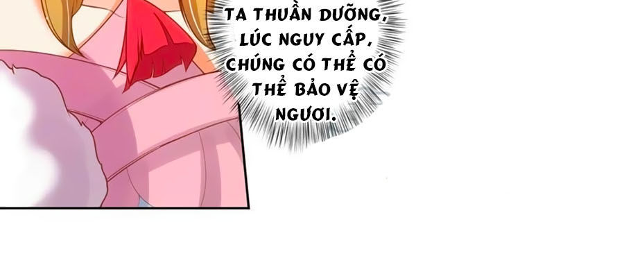 Thanh Khâu Nữ Đế: Phu Quân Muốn Tạo Phản Chapter 72 - Trang 2