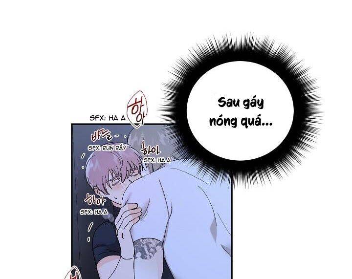 Kẻ Cắp Mặt Trăng Chapter 36 - Trang 2