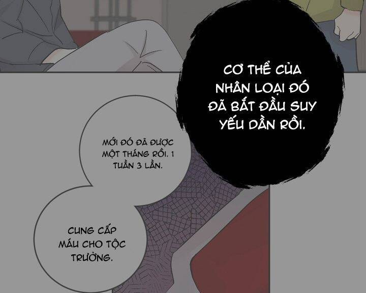 Kẻ Cắp Mặt Trăng Chapter 34 - Trang 2