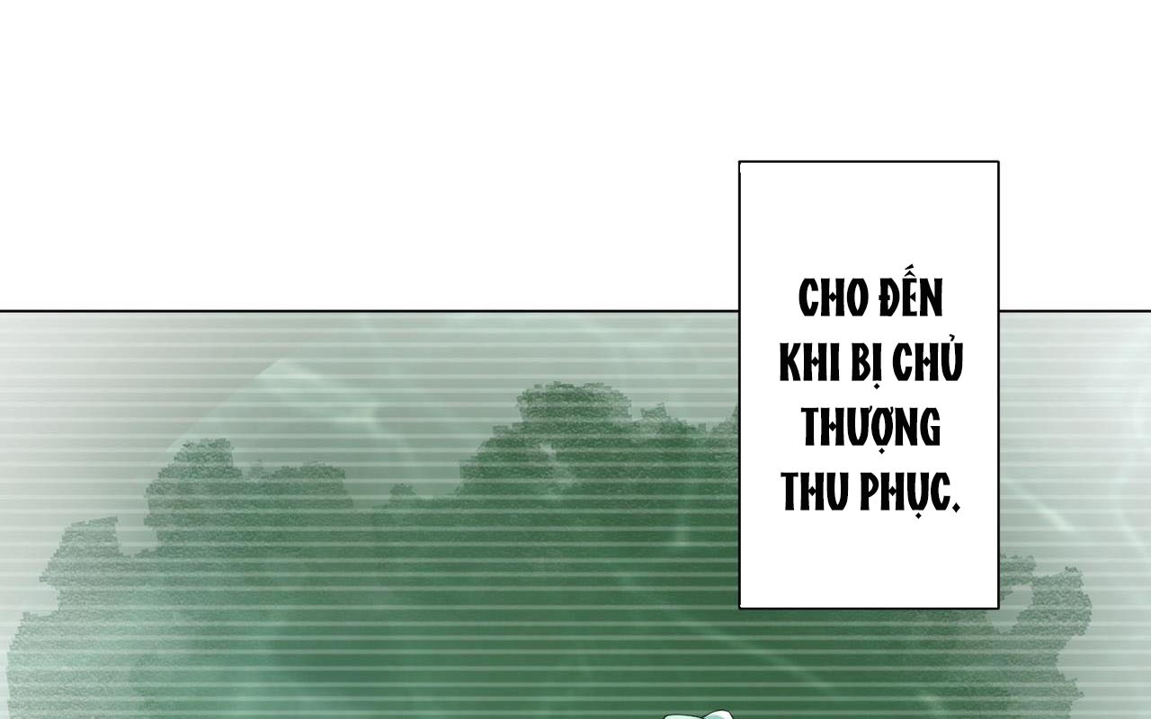 Bắt Đầu Với Trăm Vạn Minh Tệ Chapter 152 - Trang 2