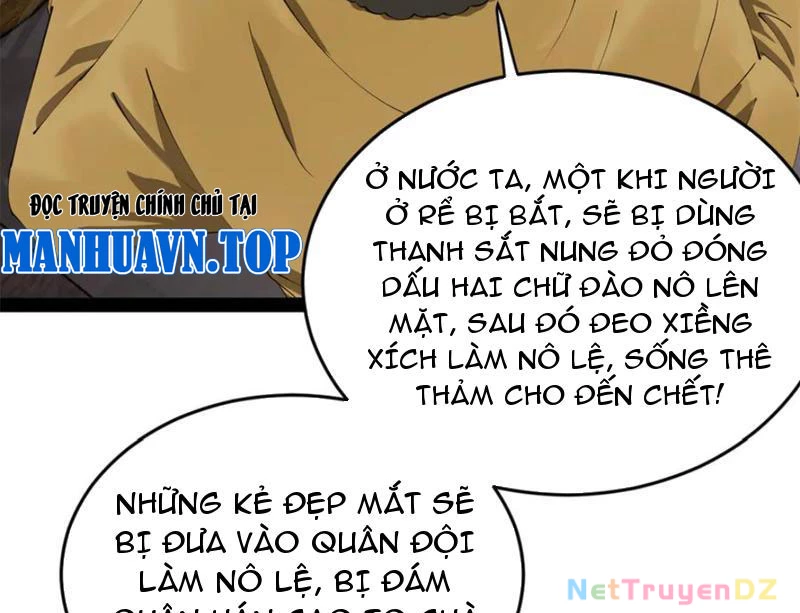 Chàng Rể Mạnh Nhất Lịch Sử Chapter 256 - Trang 2