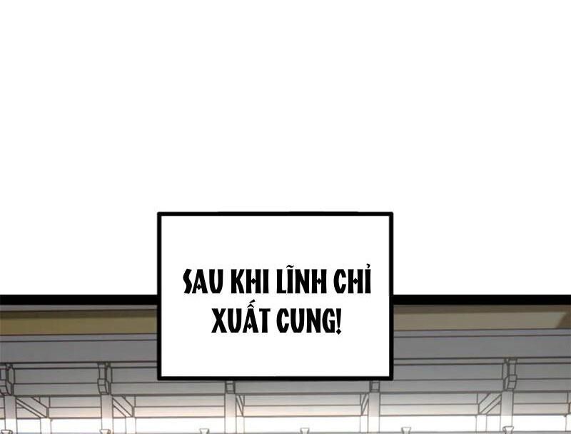 Chàng Rể Mạnh Nhất Lịch Sử Chapter 254 - Trang 2