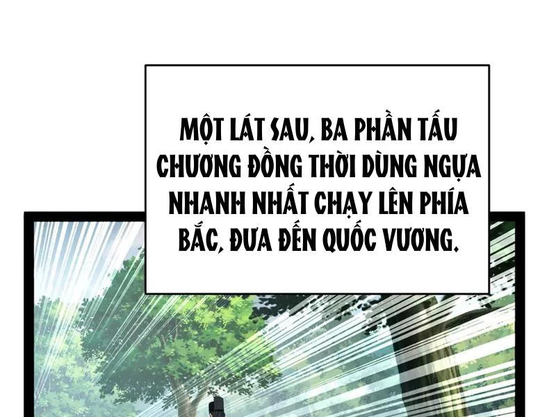 Chàng Rể Mạnh Nhất Lịch Sử Chapter 241 - Trang 2