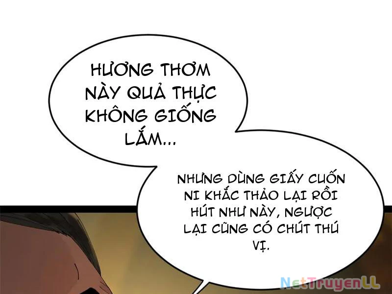 Chàng Rể Mạnh Nhất Lịch Sử Chapter 210 - Trang 2