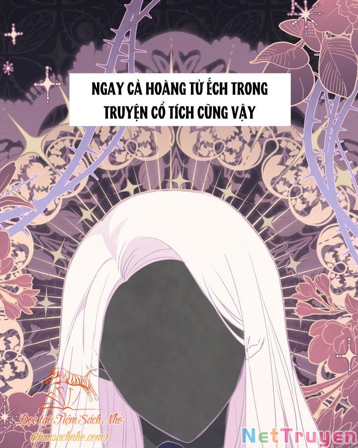 Mối Quan Hệ Cộng Sinh Giữa Báo Đen Và Thỏ Trắng Chapter 72 - Trang 2