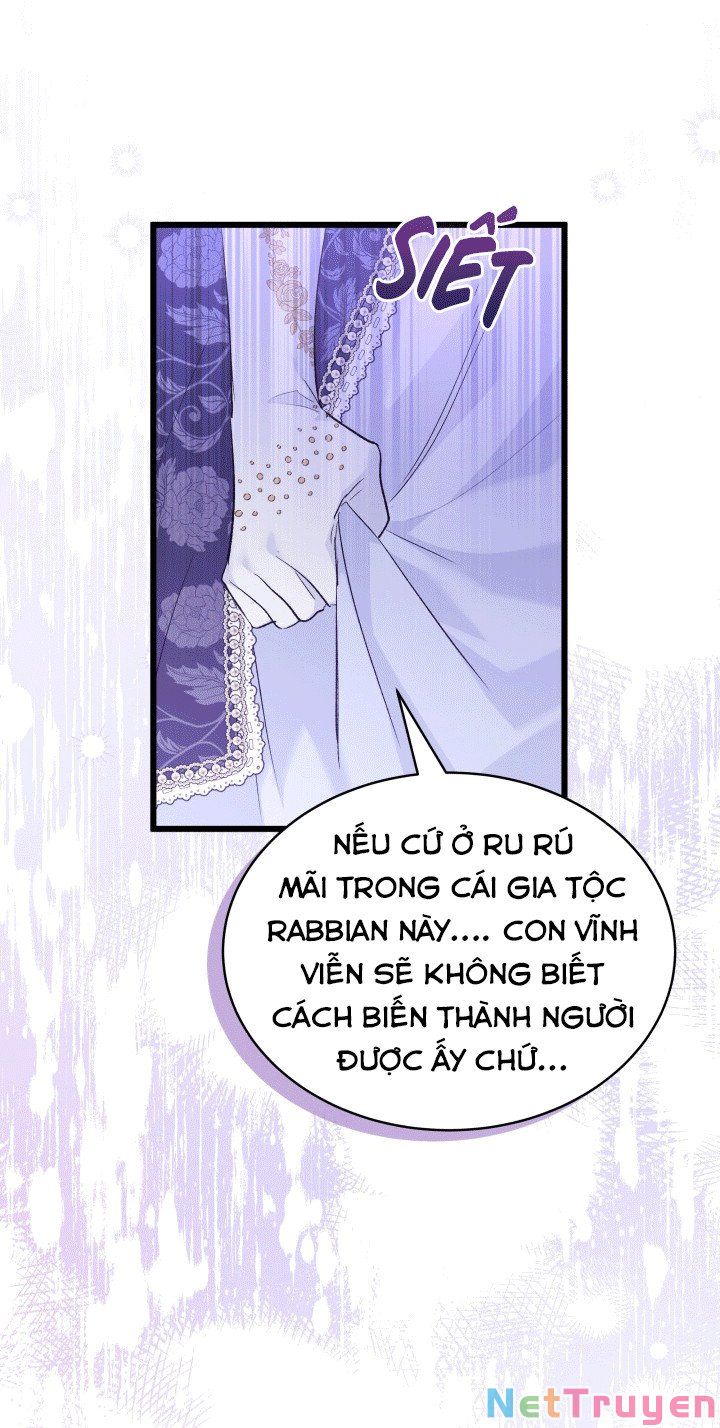 Mối Quan Hệ Cộng Sinh Giữa Báo Đen Và Thỏ Trắng Chapter 67 - Trang 2