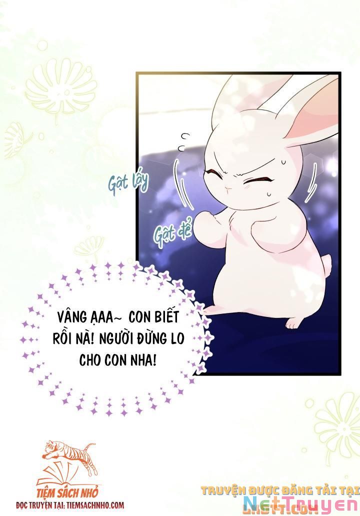 Mối Quan Hệ Cộng Sinh Giữa Báo Đen Và Thỏ Trắng Chapter 58 - Trang 2