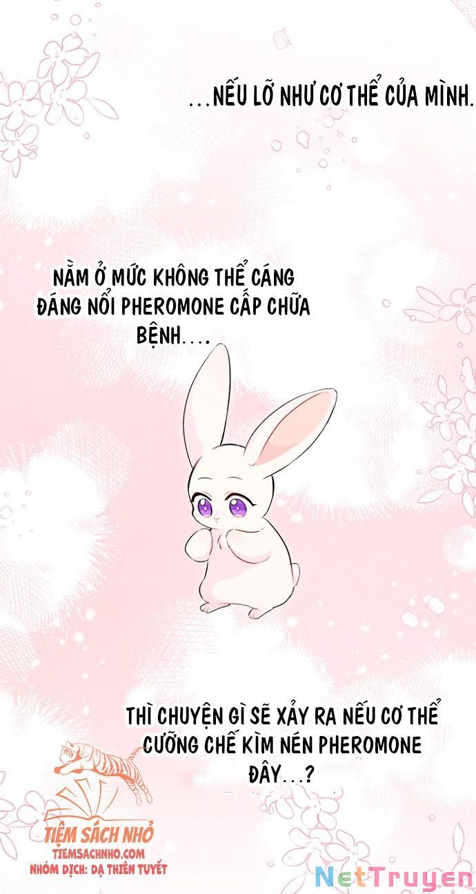 Mối Quan Hệ Cộng Sinh Giữa Báo Đen Và Thỏ Trắng Chapter 47 - Trang 2