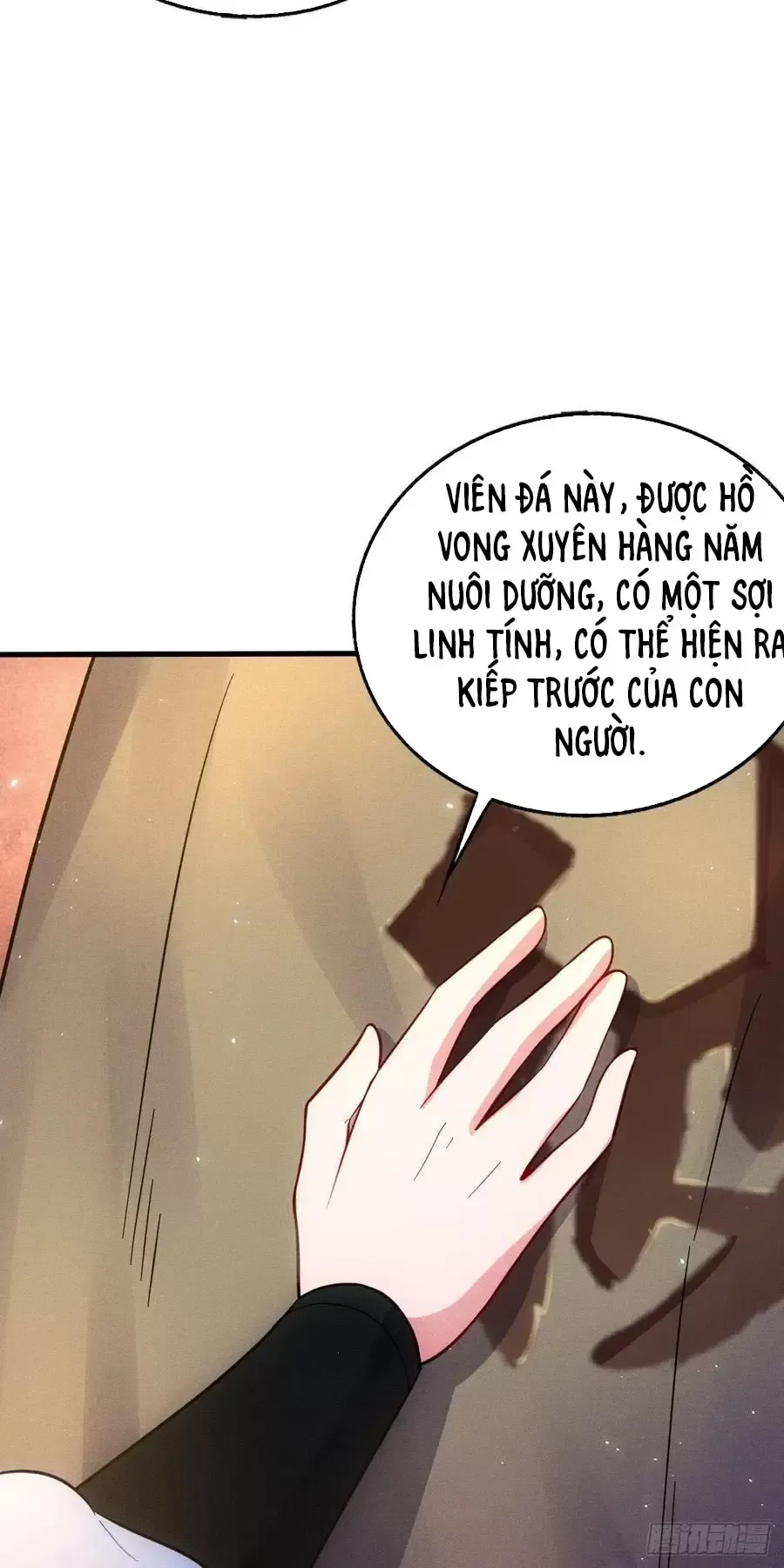 Thê Tử Của Ta Là Đại Thừa Kỳ Đại Lão Chapter 72 - Trang 2