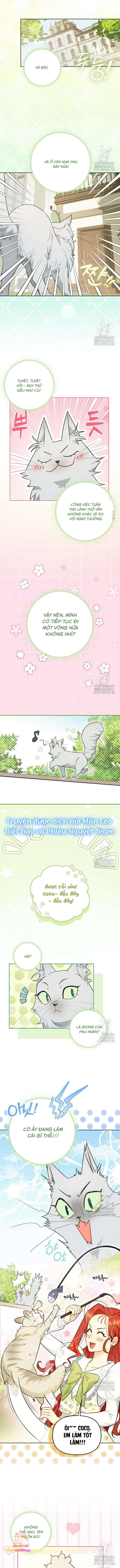 Ác Nữ Trở Thành Miêu Nô Chapter 17 - Trang 2