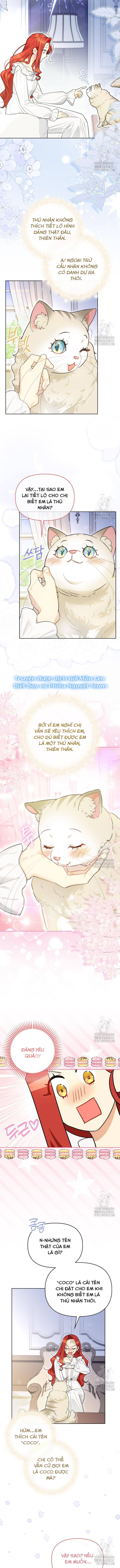 Ác Nữ Trở Thành Miêu Nô Chapter 14 - Trang 2