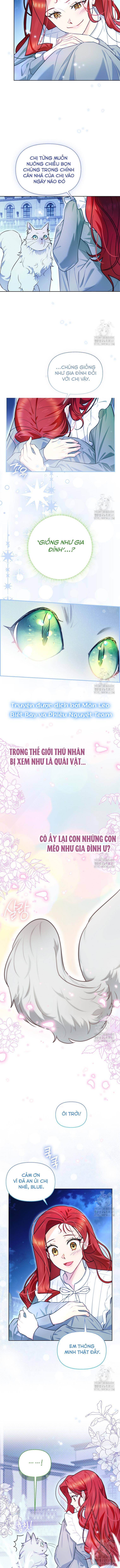 Ác Nữ Trở Thành Miêu Nô Chapter 13 - Trang 2