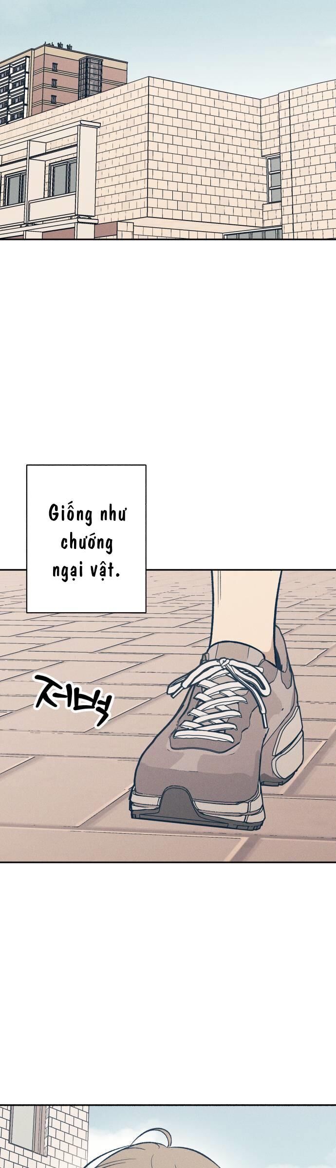 Mối Tình Đầu Đáng Ghét Chapter 62 - Trang 2