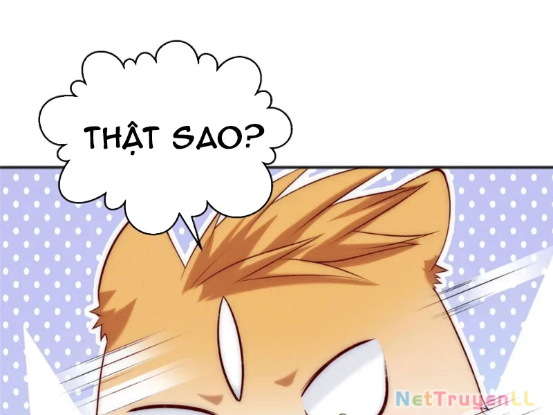 Bắt Đầu Ban Thưởng Một Trăm Triệu Mạng Chapter 64 - Trang 2