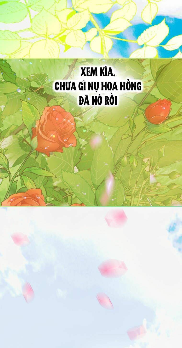 Khế Ước Hôn Nhân Của Mẹ Tôi Chapter 18 - Trang 2