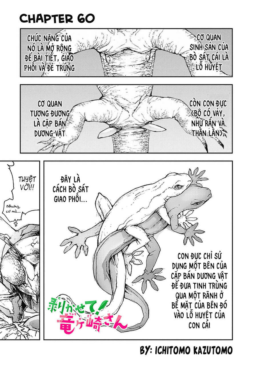 Shed! Ryugasaki-San Chapter 60 - Trang 2