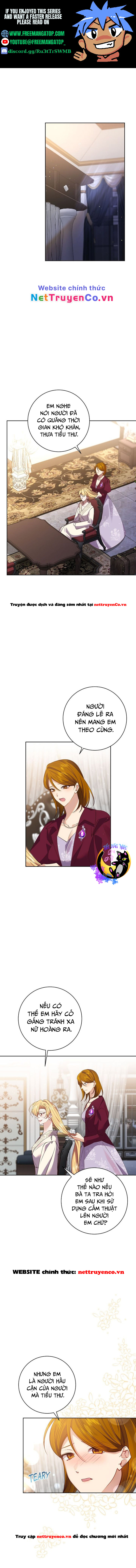 Đeo Bám Tôi Cũng Vô Ích Thôi Chapter 104 - Trang 2