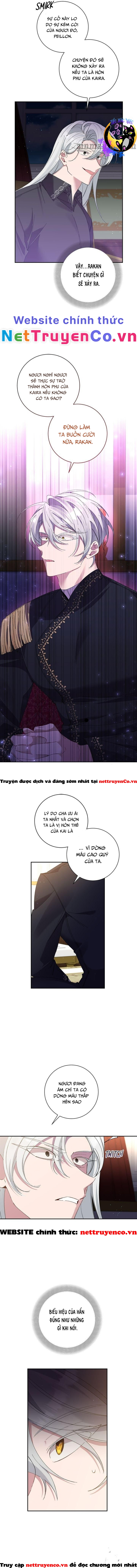 Đeo Bám Tôi Cũng Vô Ích Thôi Chapter 72 - Trang 2