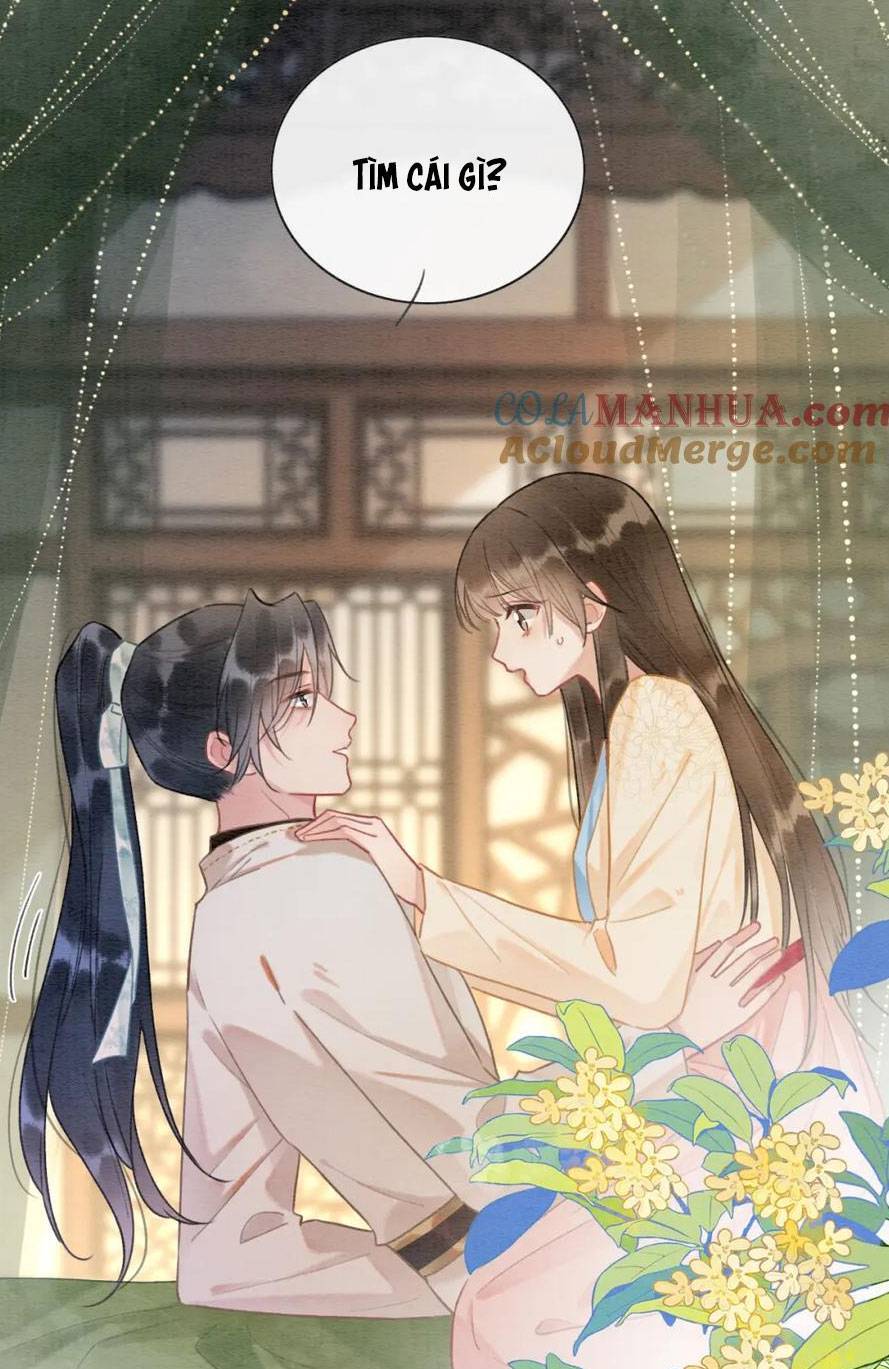 “Xuyên Thư” Sổ Tay Công Lược Hắc Liên Hoa Chapter 137 - Trang 2