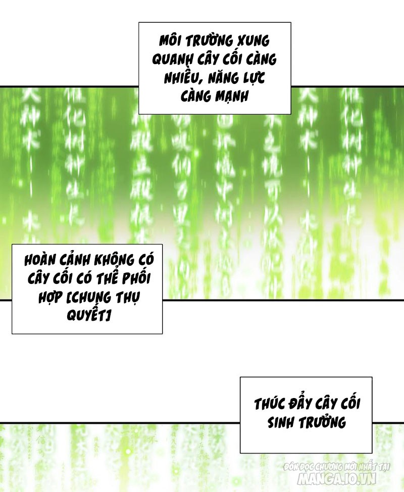 Đại Chúa Tể Chapter 334 - Trang 2