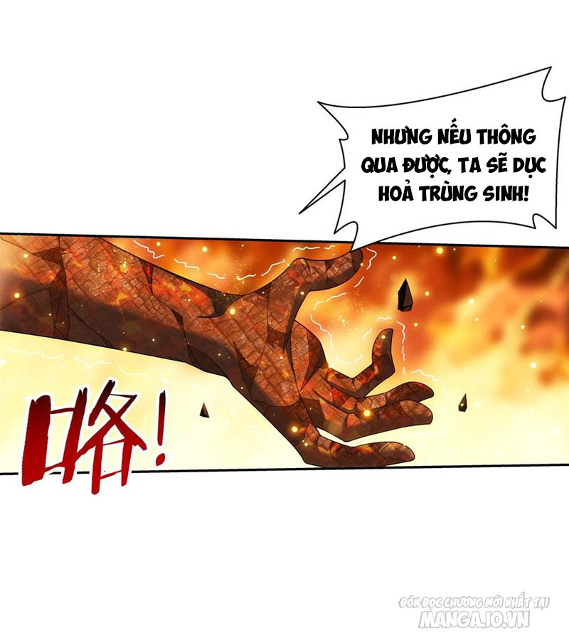 Đại Chúa Tể Chapter 305 - Trang 2