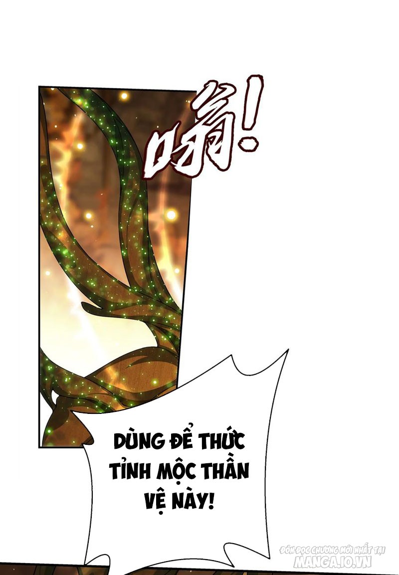 Đại Chúa Tể Chapter 301 - Trang 2