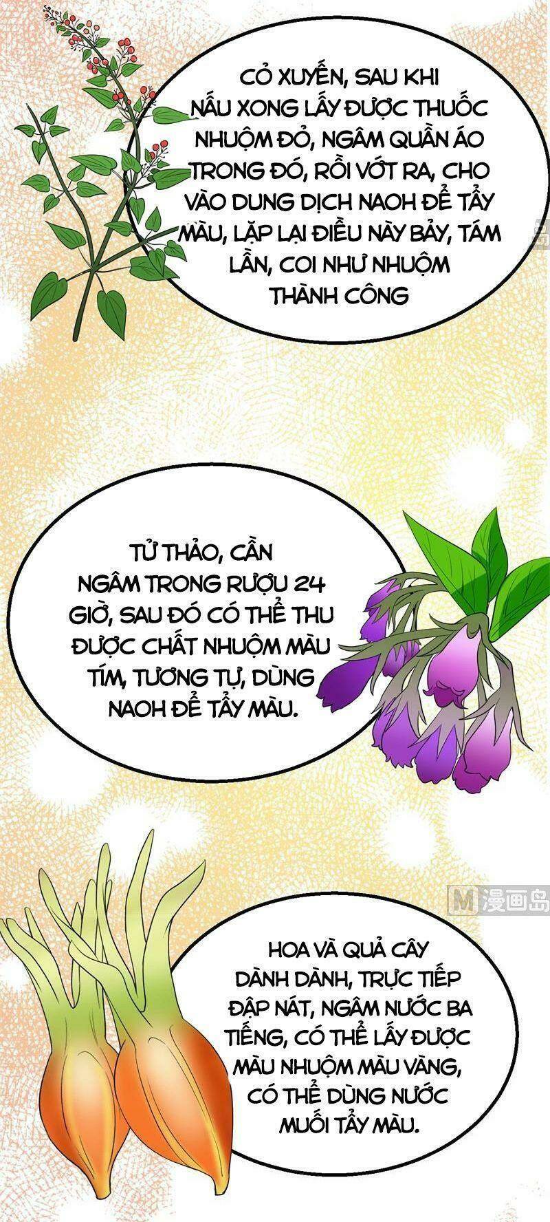 Tôi Sống Trên Hoang Đảo Cùng Các Em Gái Chapter 141 - Trang 2