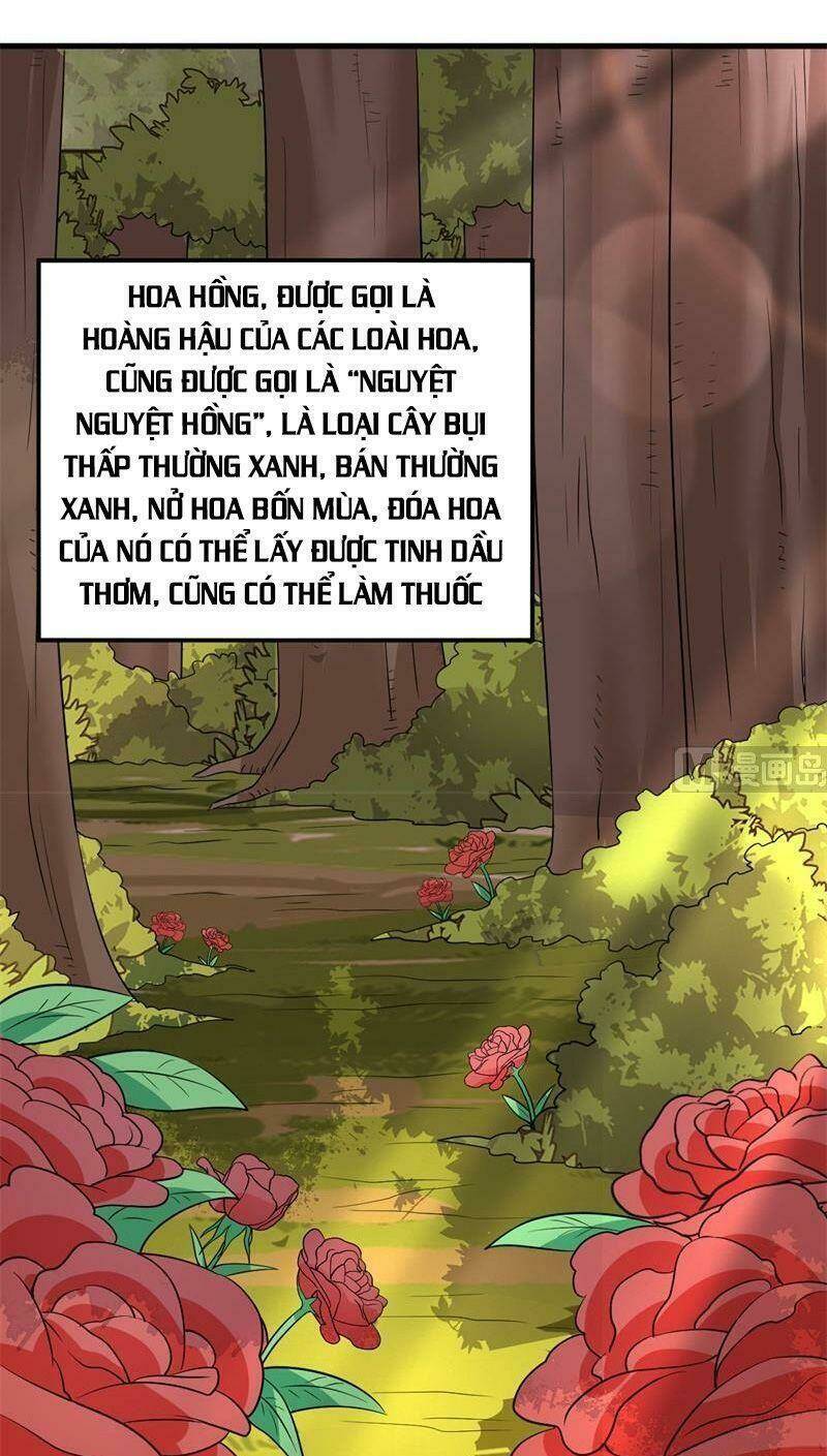 Tôi Sống Trên Hoang Đảo Cùng Các Em Gái Chapter 138 - Trang 2