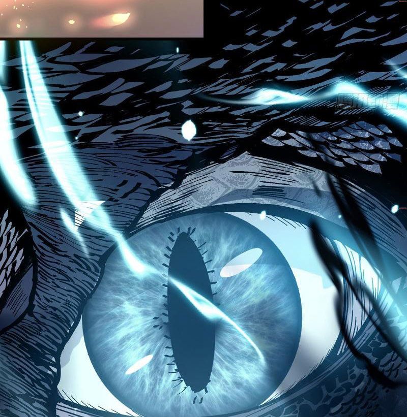 Ta Lại Nuôi Kẻ Thù Của Mình Chapter 1 - Trang 2