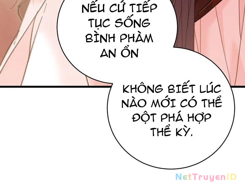 Đại Thừa Kỳ Mới Có Nghịch Tập Hệ Thống Chapter 55 - Trang 2