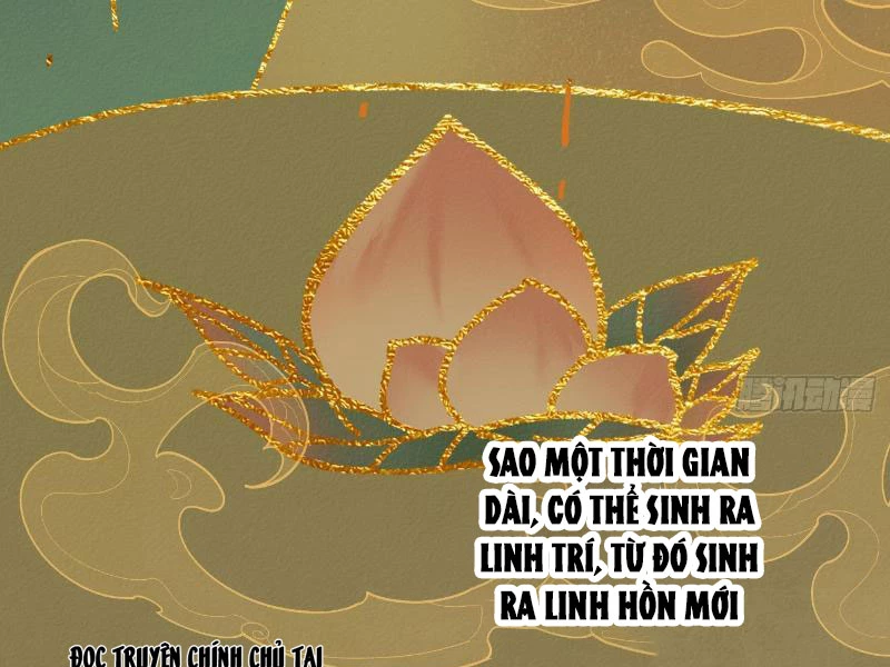 Đại Thừa Kỳ Mới Có Nghịch Tập Hệ Thống Chapter 23 - Trang 2