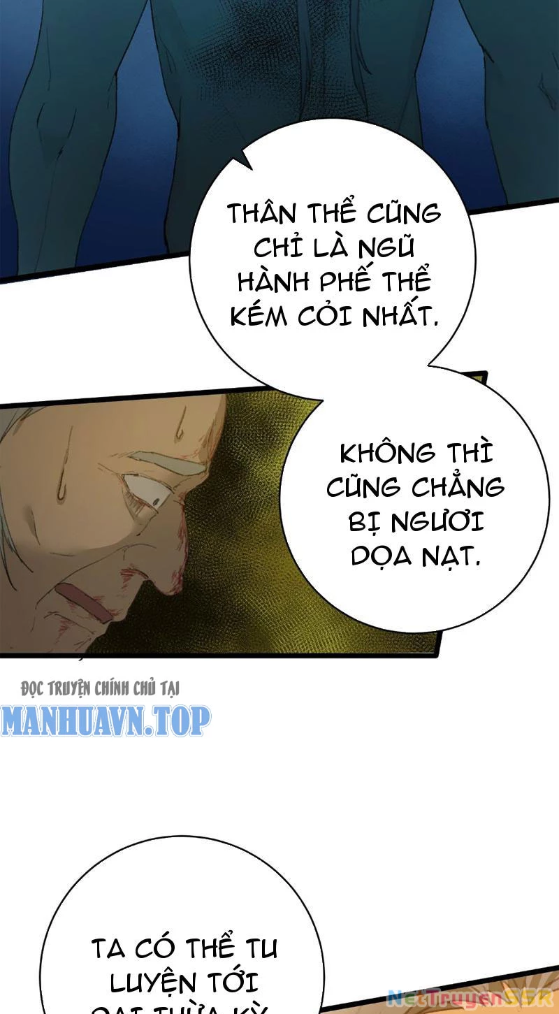 Đại Thừa Kỳ Mới Có Nghịch Tập Hệ Thống Chapter 4 - Trang 2