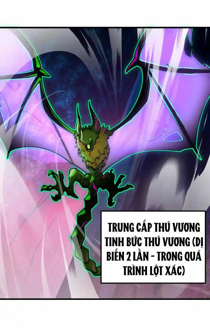 Mạt Thế Quật Khởi Chapter 246 - Trang 2