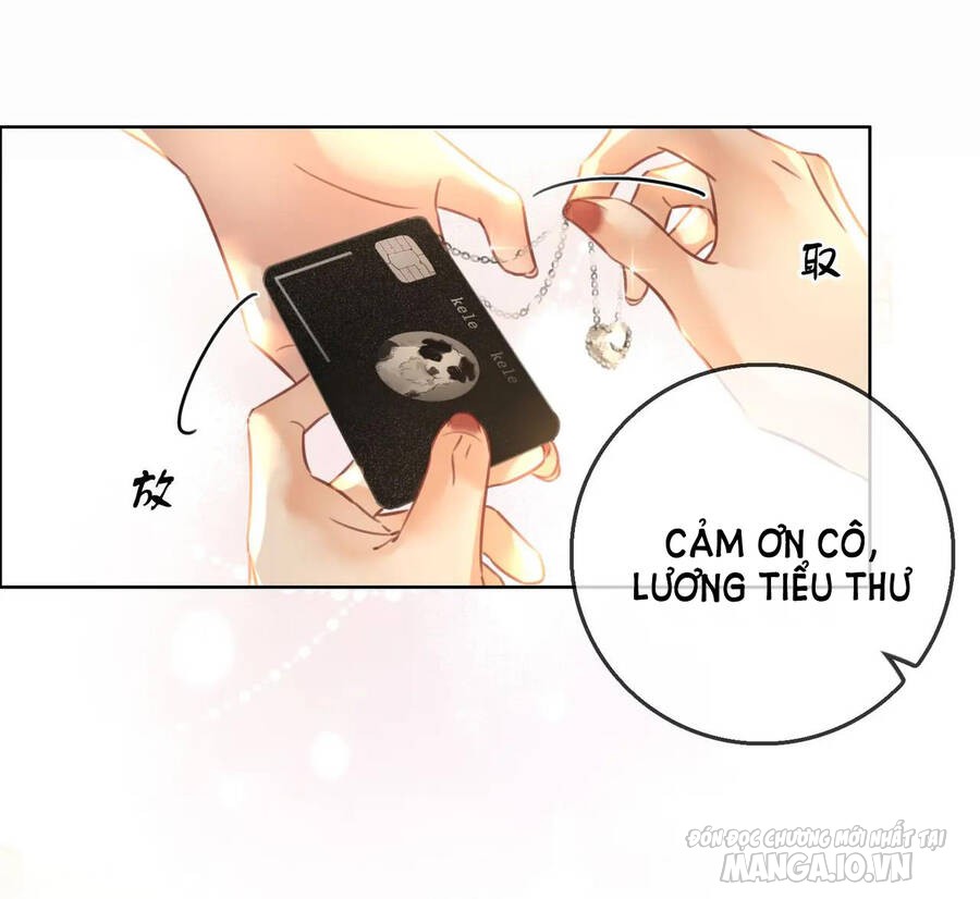 Cố Tiểu Thư Và Khúc Tiểu Thư Chapter 14 - Trang 2