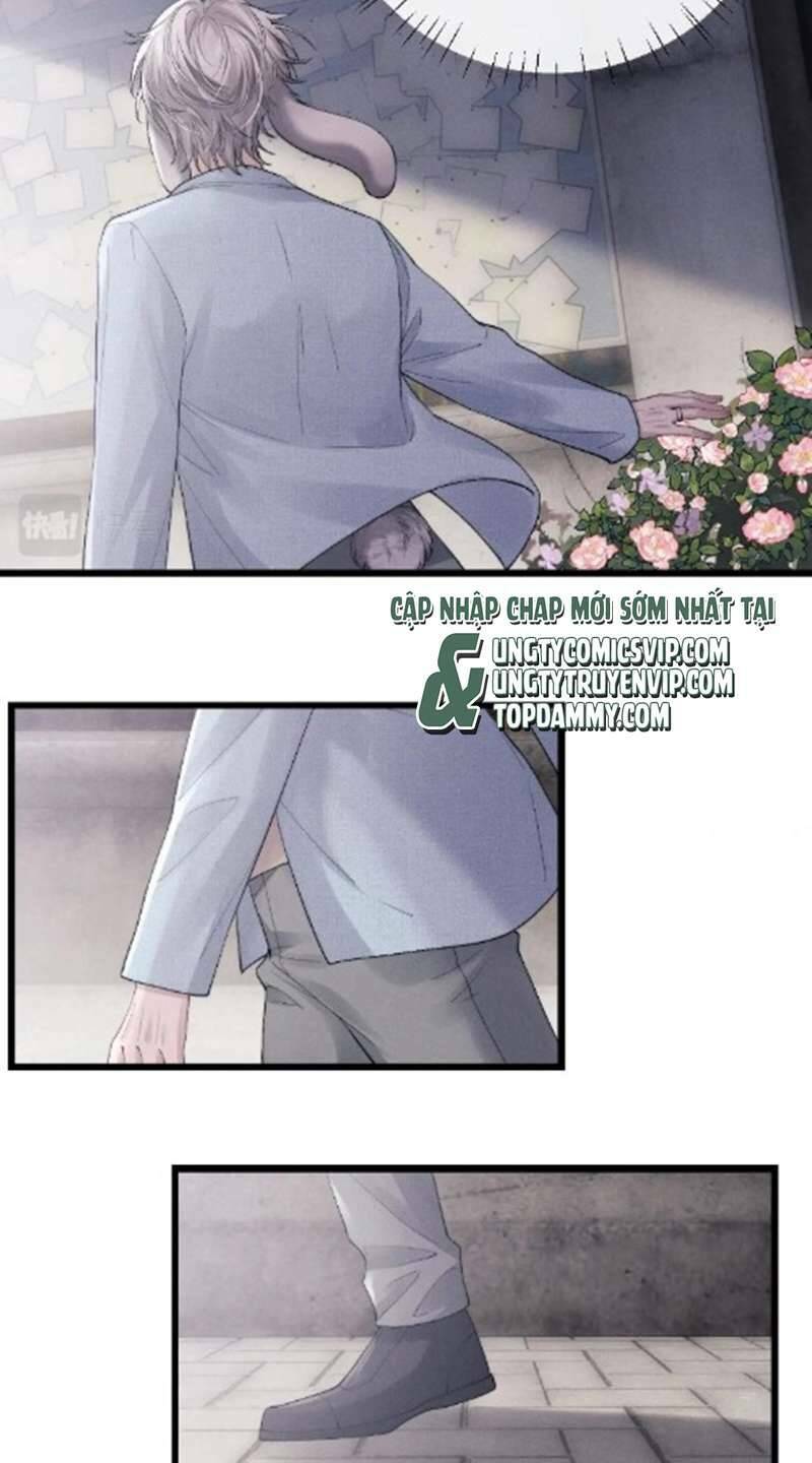 Chấp Sự Thỏ Cụp Tai Chapter 35 - Trang 2