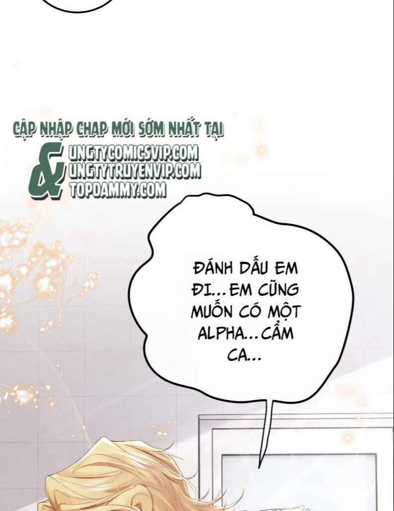 Chấp Sự Thỏ Cụp Tai Chapter 27 - Trang 2