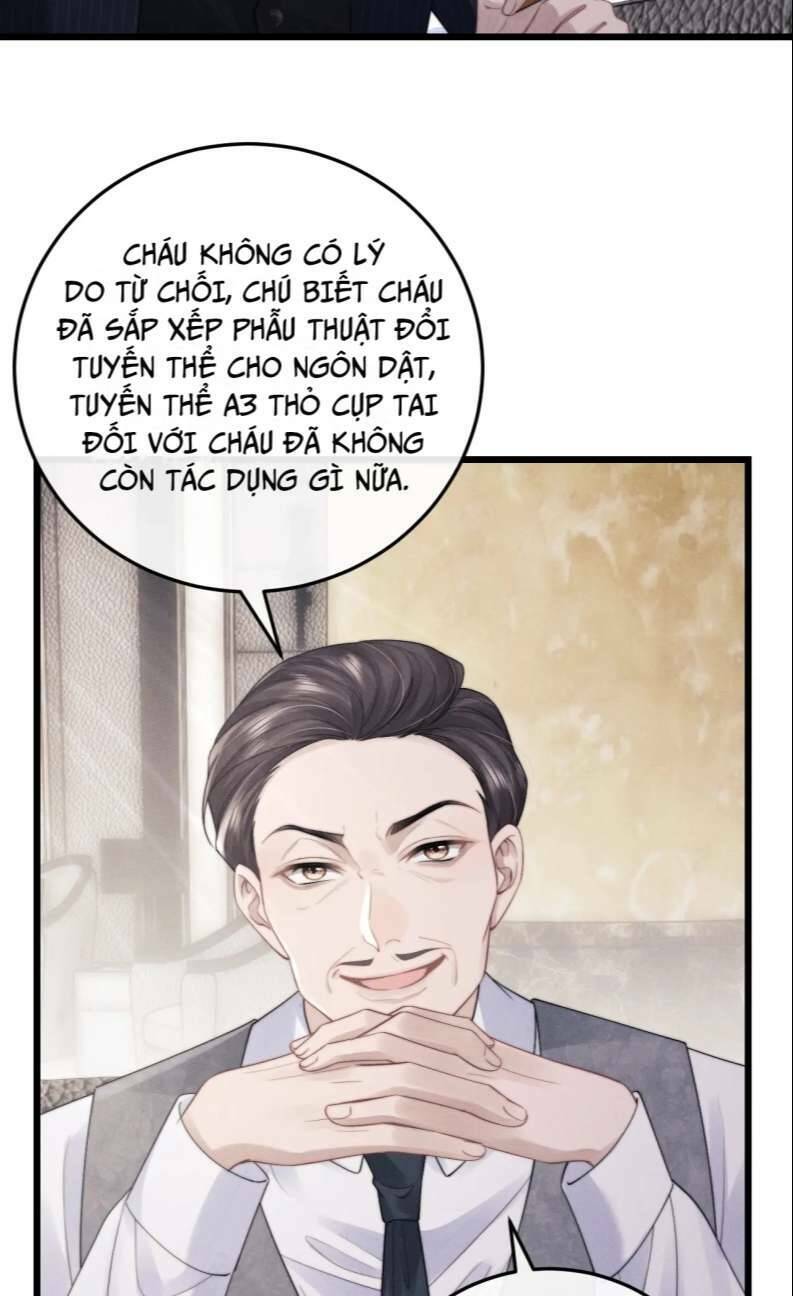 Chấp Sự Thỏ Cụp Tai Chapter 24 - Trang 2