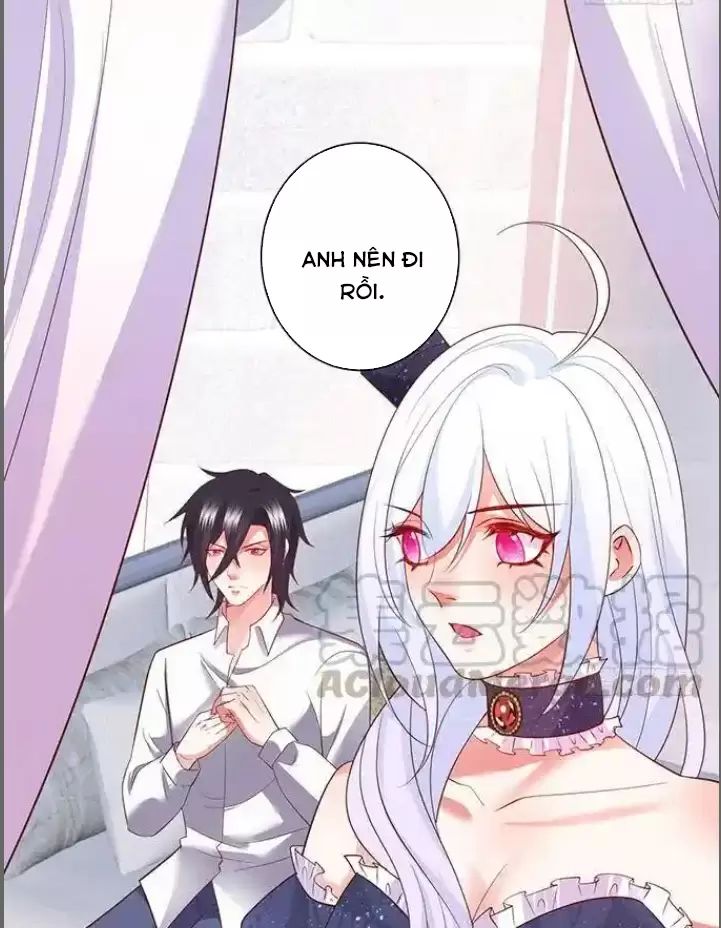 Hắc Đạo Đáng Yêu Chapter 182 - Trang 2