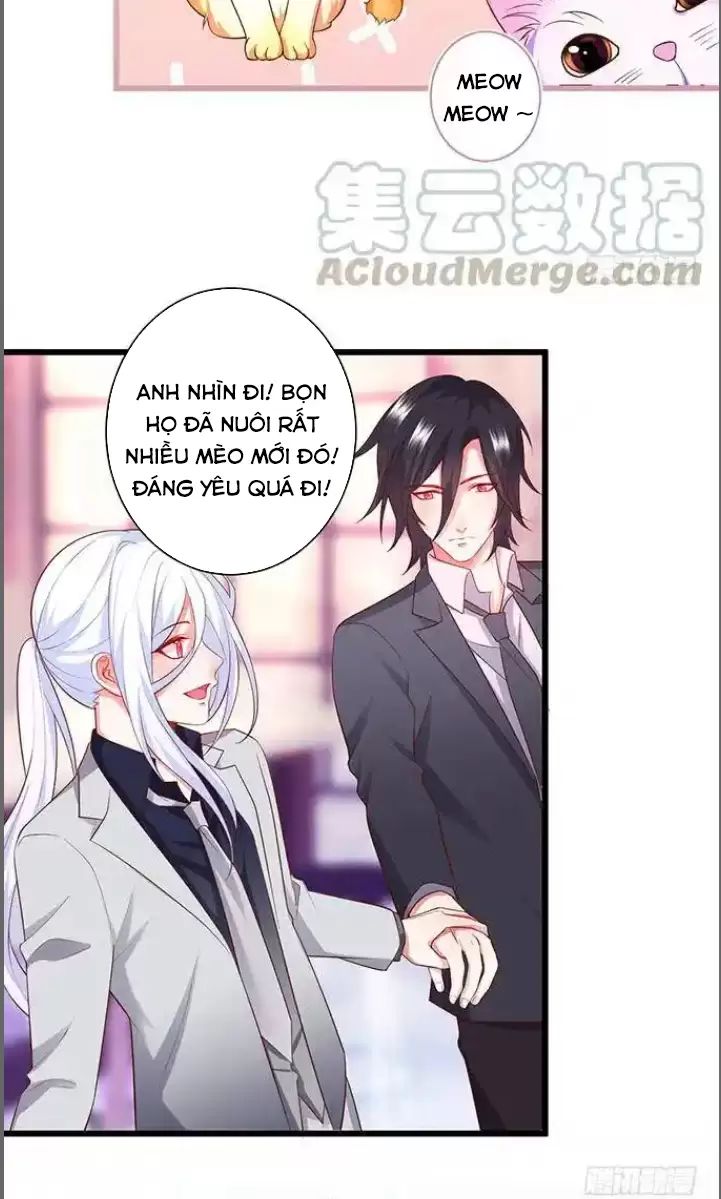 Hắc Đạo Đáng Yêu Chapter 176 - Trang 2