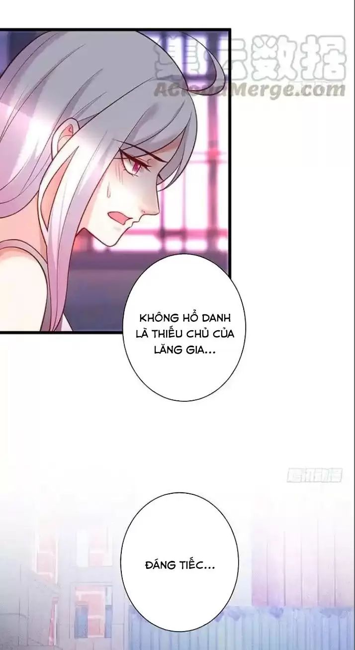 Hắc Đạo Đáng Yêu Chapter 168 - Trang 2