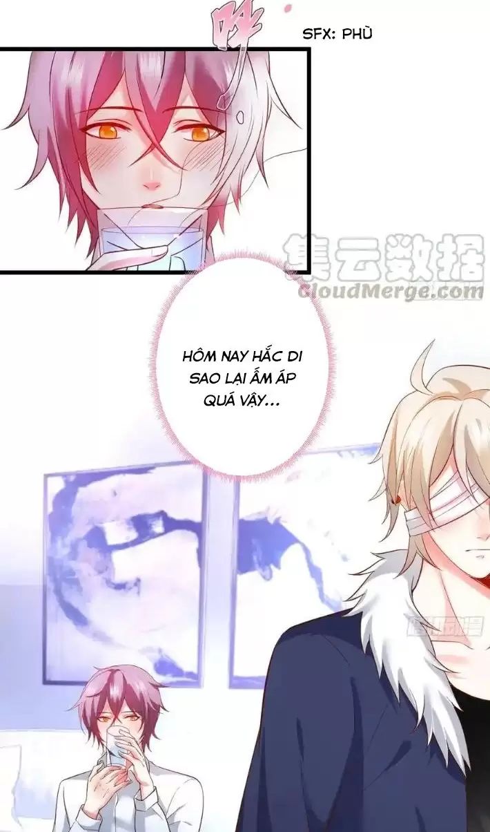 Hắc Đạo Đáng Yêu Chapter 166 - Trang 2