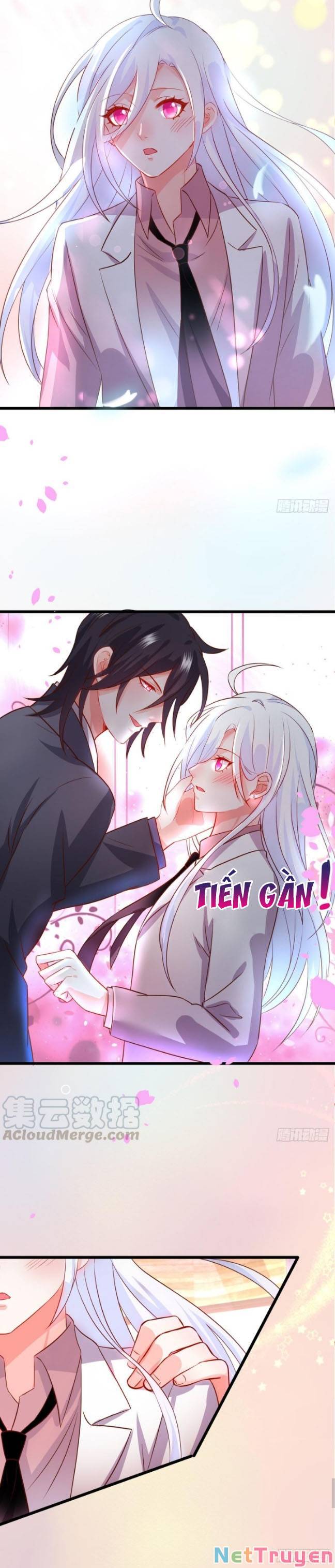 Hắc Đạo Đáng Yêu Chapter 145 - Trang 2