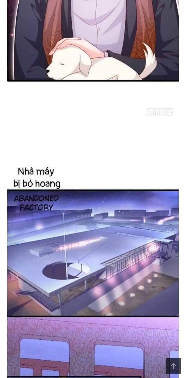 Hắc Đạo Đáng Yêu Chapter 102 - Trang 2