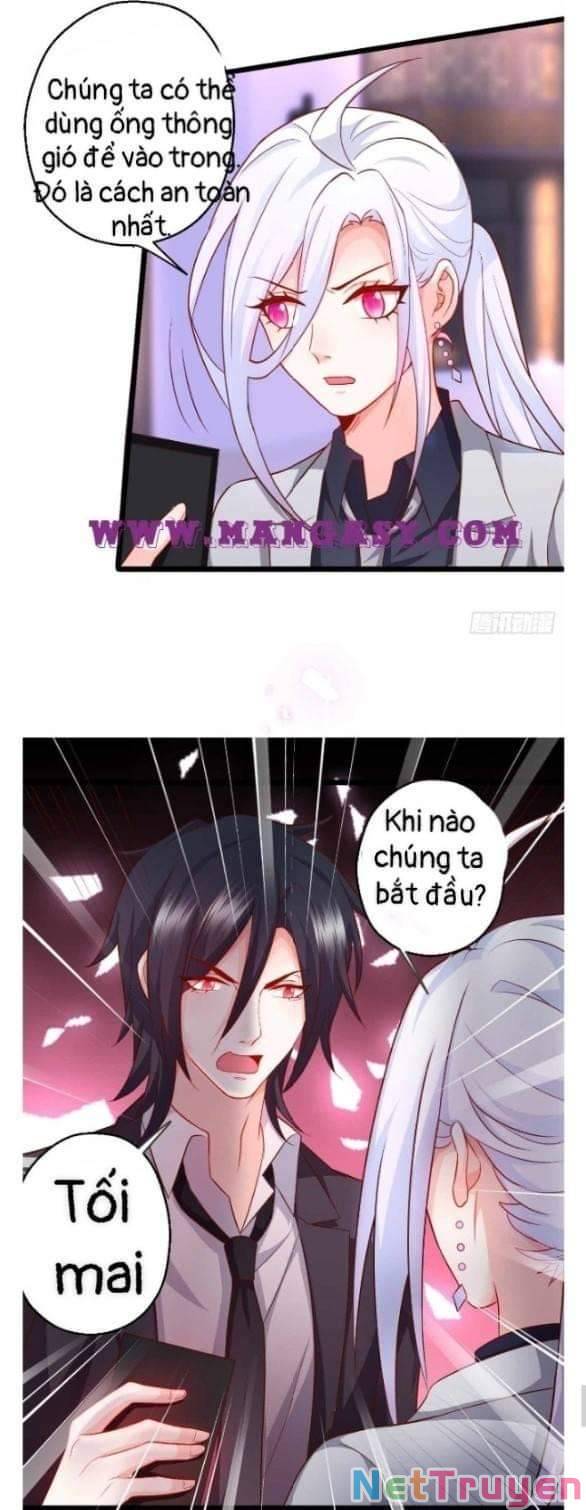 Hắc Đạo Đáng Yêu Chapter 100 - Trang 2